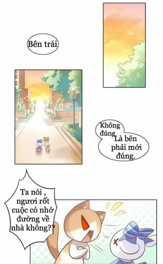 Dưới Móng Vuốt Mèo: Chapter 8