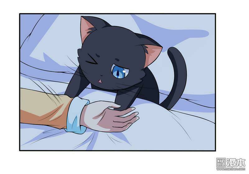 Miêu Vương Tại Thượng: Chapter 6