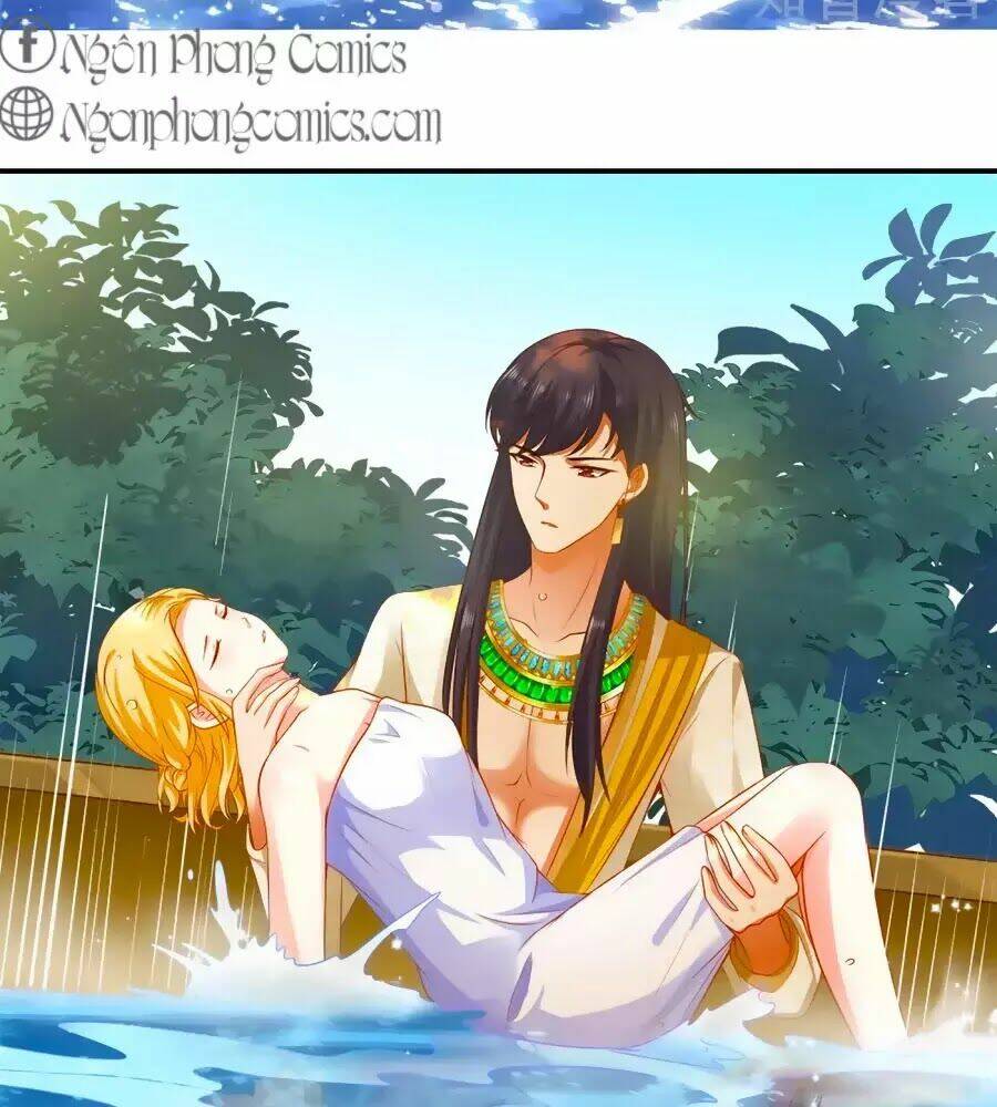 Sủng Hậu Của Vương: Chapter 5
