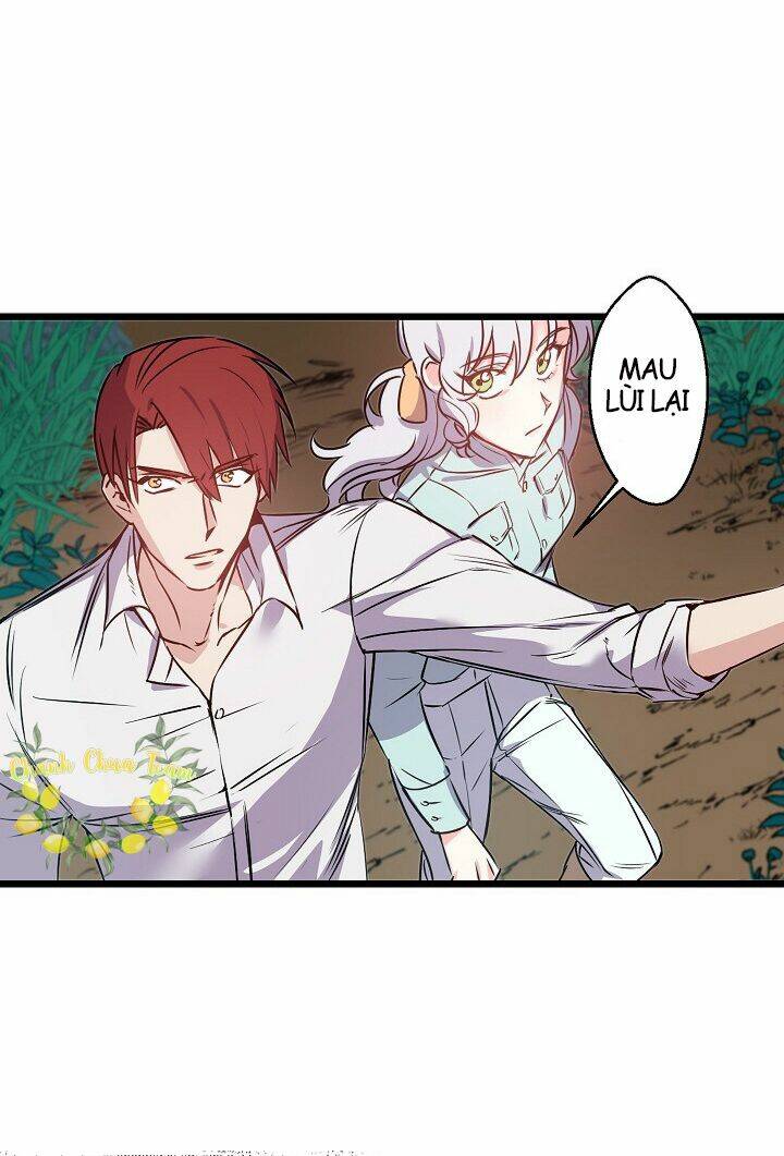 Hôn Lễ Báo Thù: Chapter 13