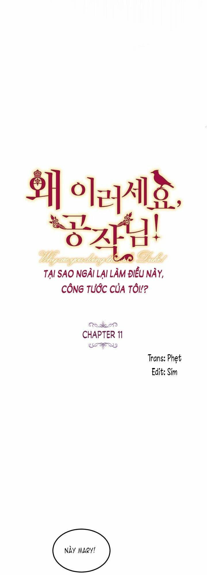 Công Tước, Loạn Vừa Thôi!: Chapter 11