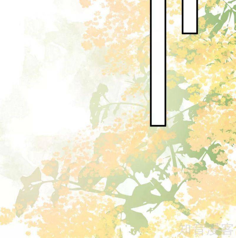 Tối Cường Vận Đào Hoa: Chapter 197