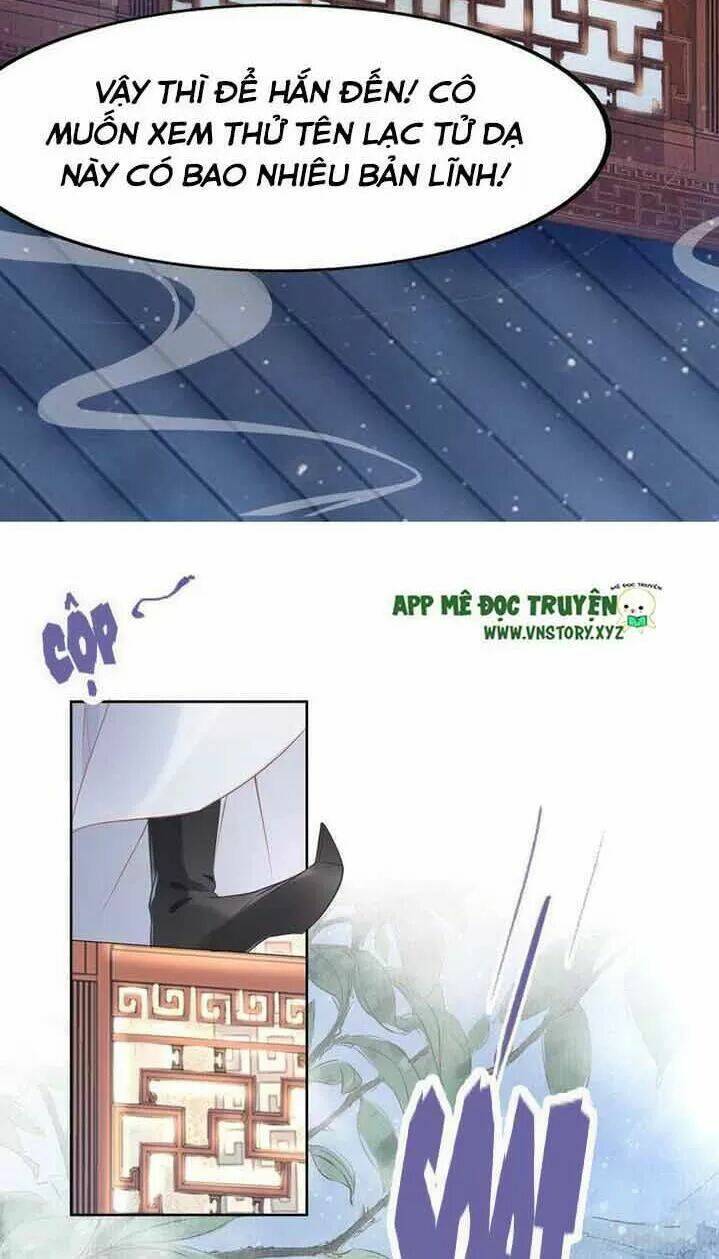 Nhất Sinh Nhất Thế Tiếu Thương Khung: Chapter 24