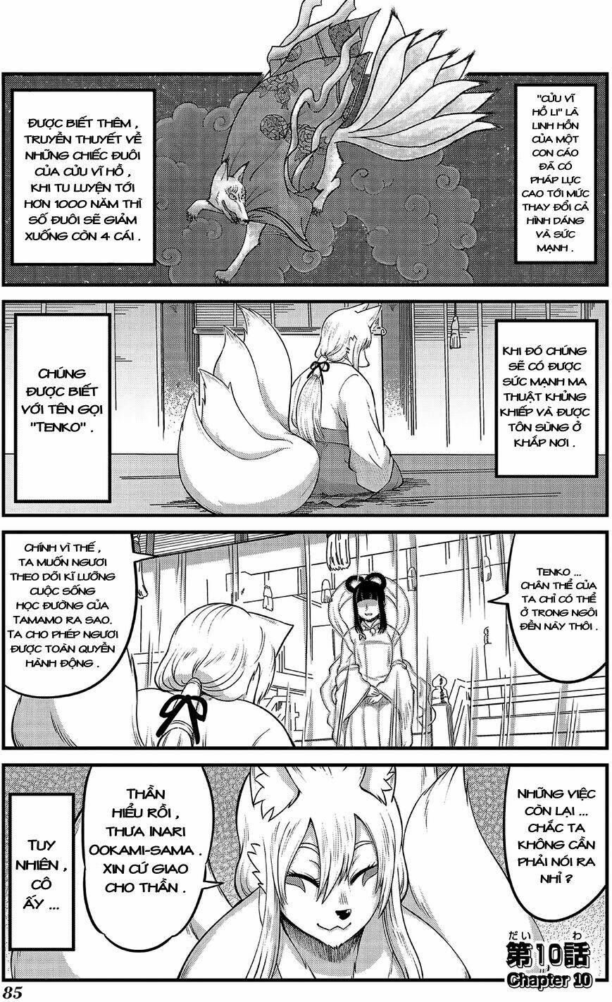 High School Inari Tamamo-Chan: Chapter 10