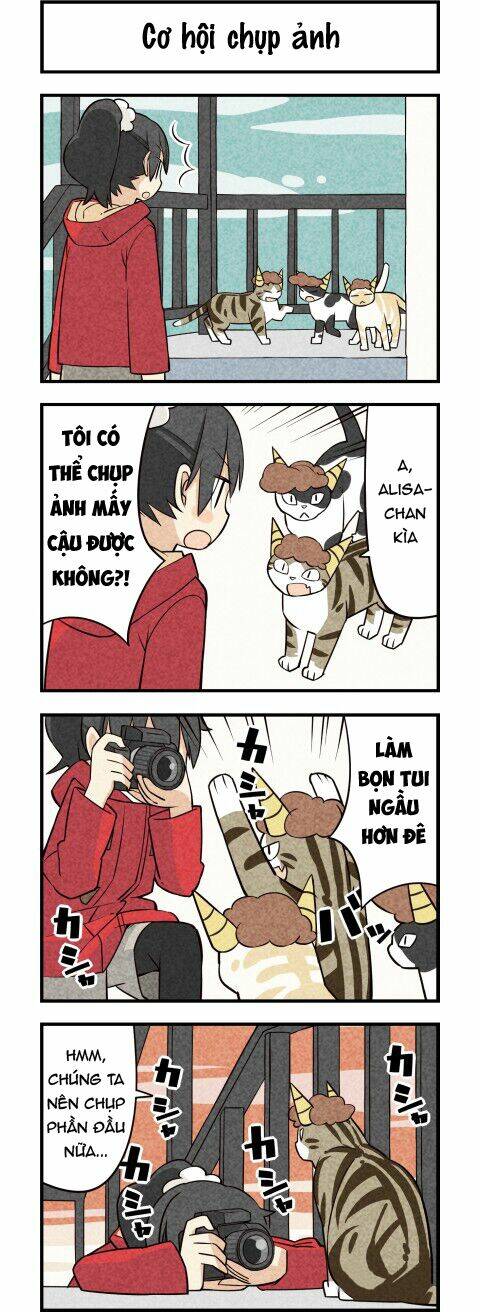 We Are Cat: Chapter 17