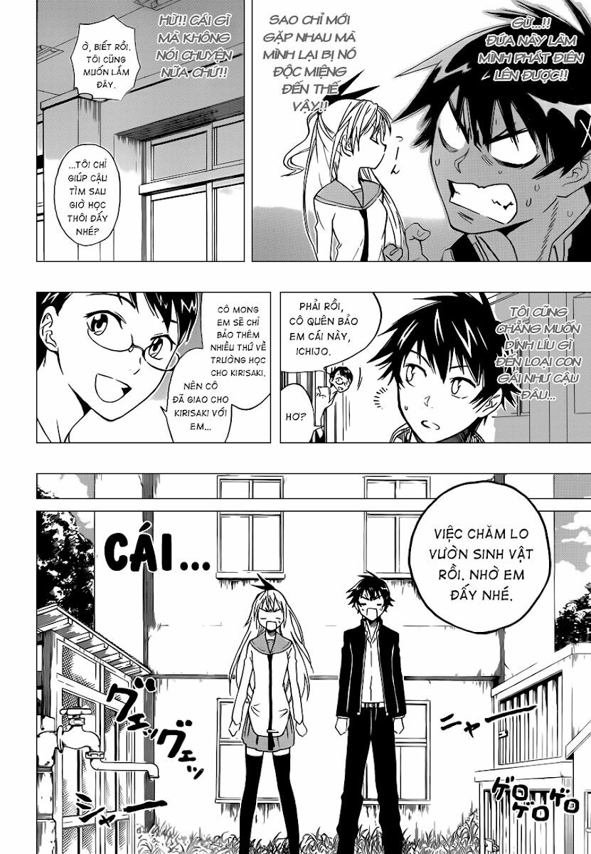 Tình Yêu Ngang Trái: Chapter 1