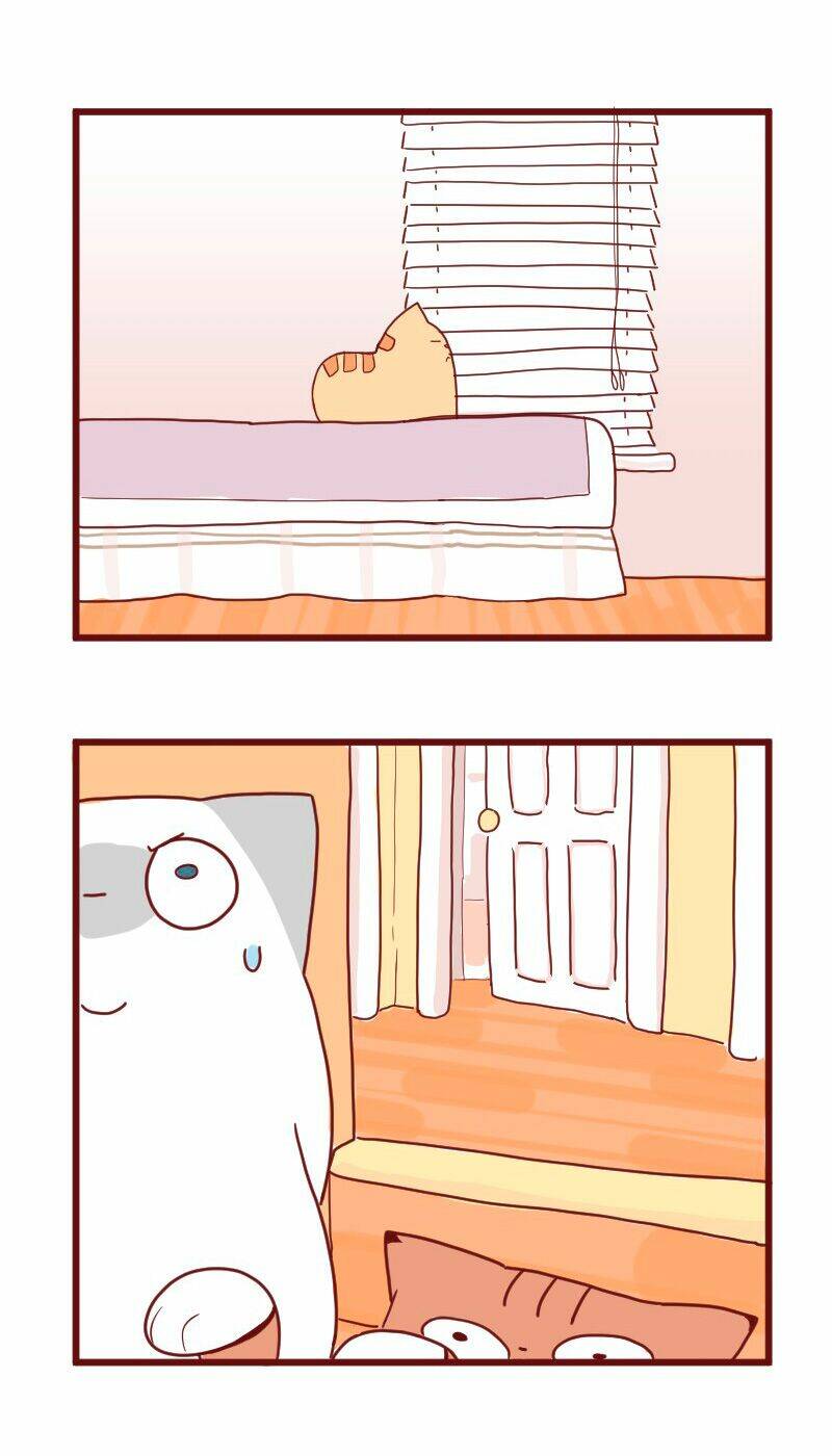 Saphie: Chú mèo một mắt: Chapter 10