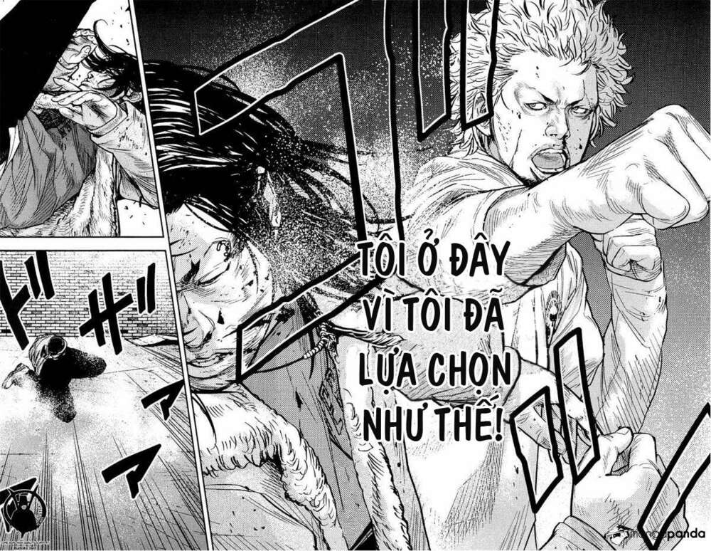Clover: Chapter 230