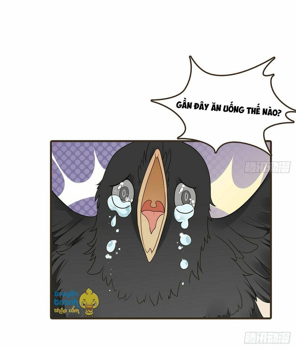 Đại Giá Thừa Tướng: Chapter 66