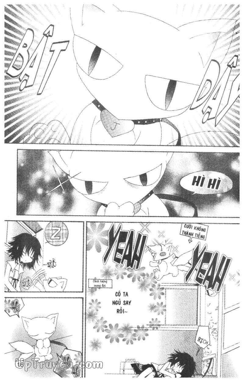 Nước Mắt Nàng Tiên Cá: Chapter 1