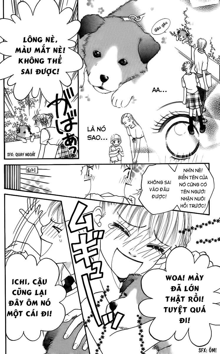 Cô Láng Giềng: Chapter 16