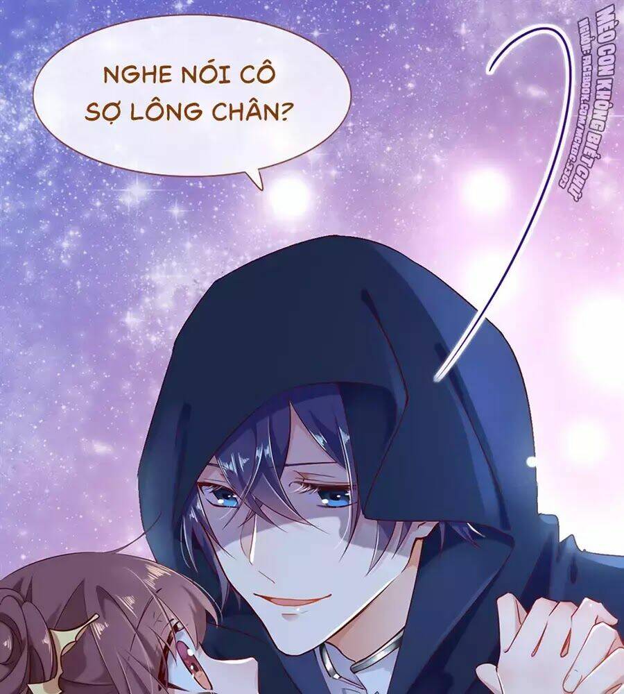 Boss Khủng Bố Chiếm Đoạt Ta: Chapter 1