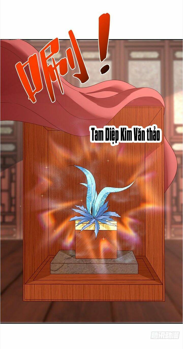 Chí Tôn Trọng Sinh: Chapter 207