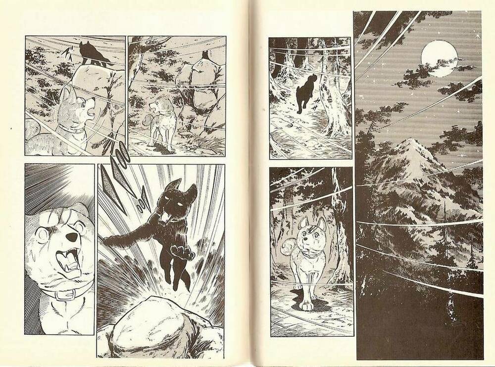 Chú Chó Có Nghĩa - Ginga Nagareboshi Gin: Chapter 10