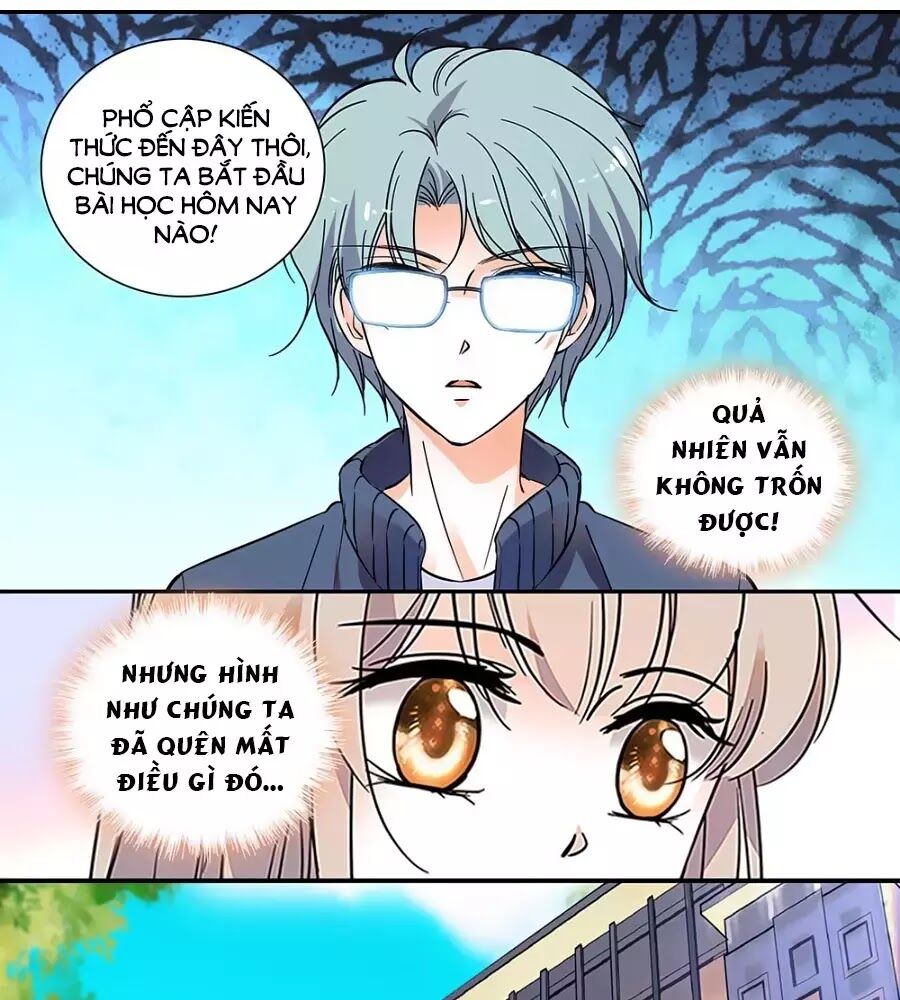 Thanh Ninh Chi Hạ: Chapter 444