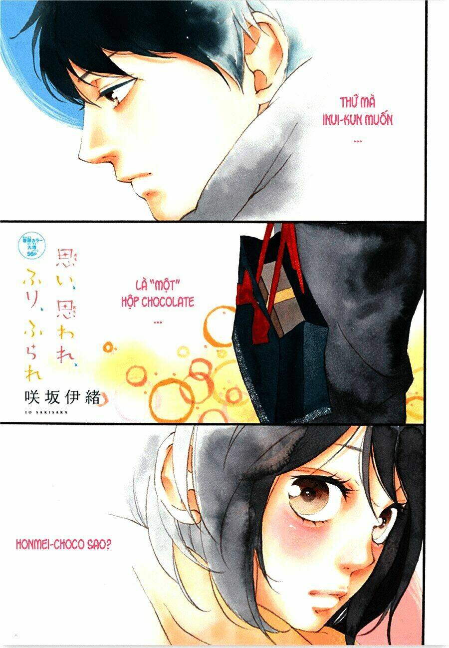 Trò Chơi Cút Bắt: Chapter 35