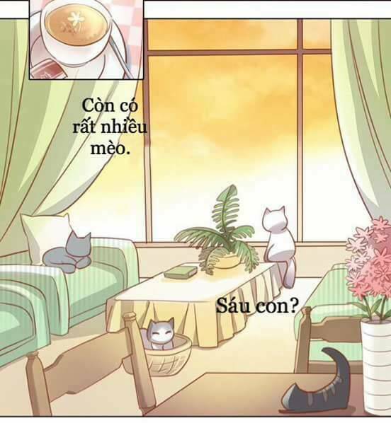 Dưới Móng Vuốt Mèo: Chapter 8