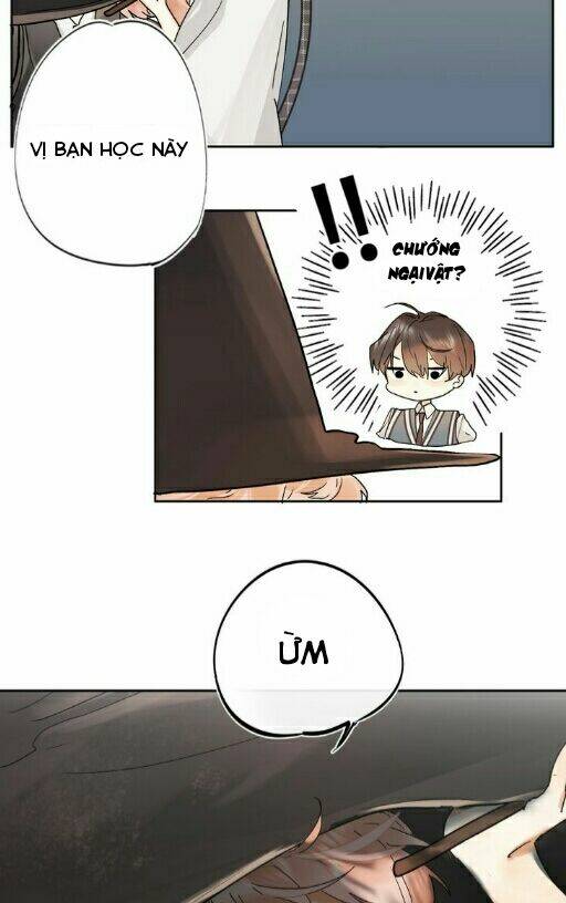 Đệm Lót Ma Nữ: Chapter 3