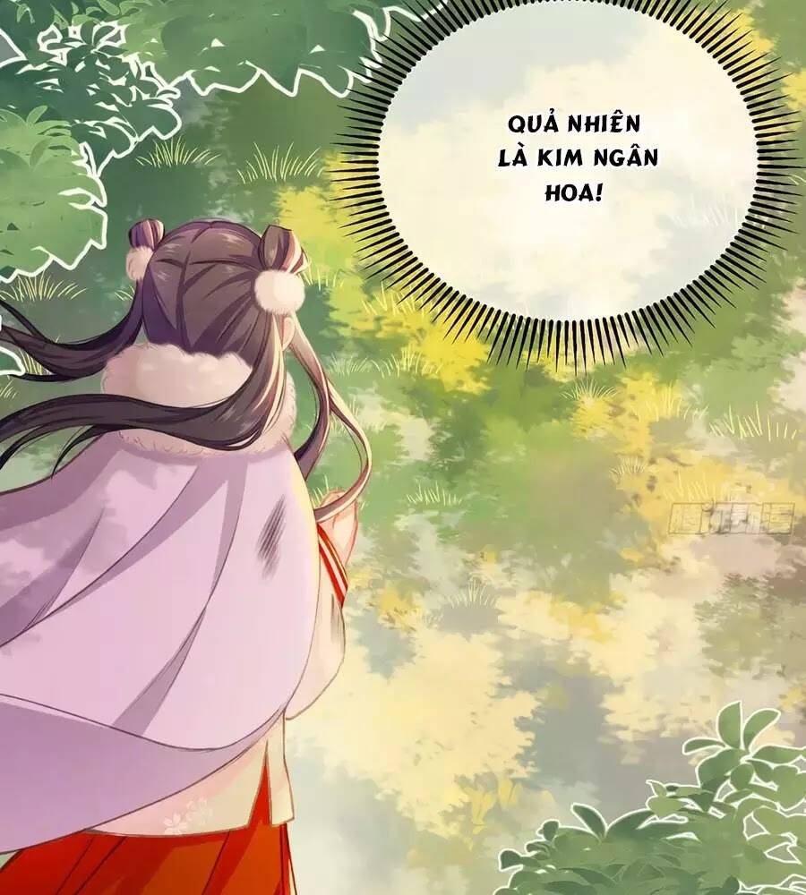 Trọng Sinh Chi Đích Nữ Bất Thiện: Chapter 8