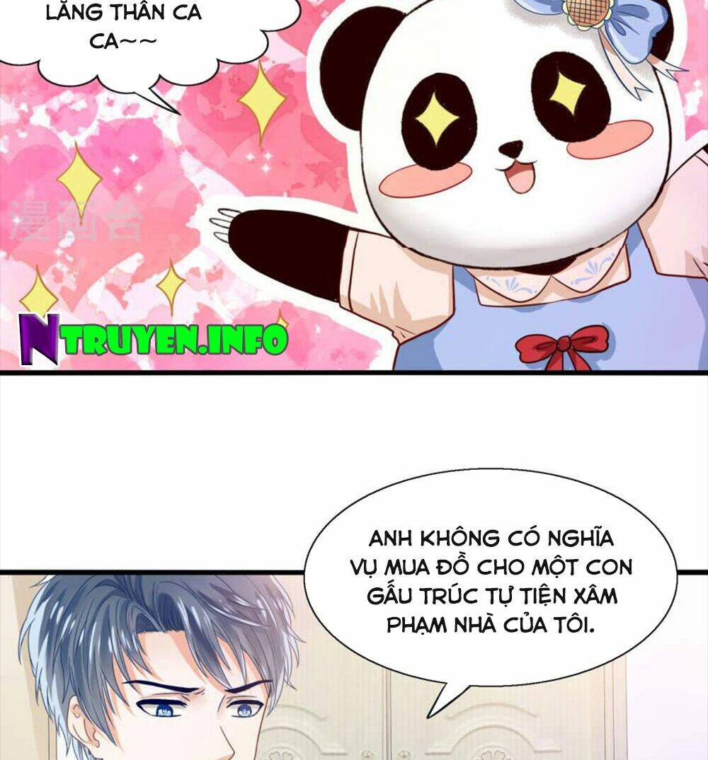 Tôi Bị Gấu Trúc Nhìn Trúng Rồi: Chapter 9