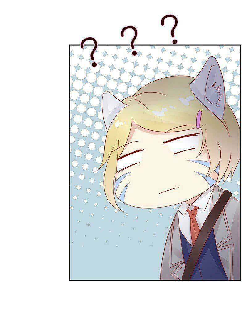 Băng Sơn Học Trưởng Không Được Chọc: Chapter 14