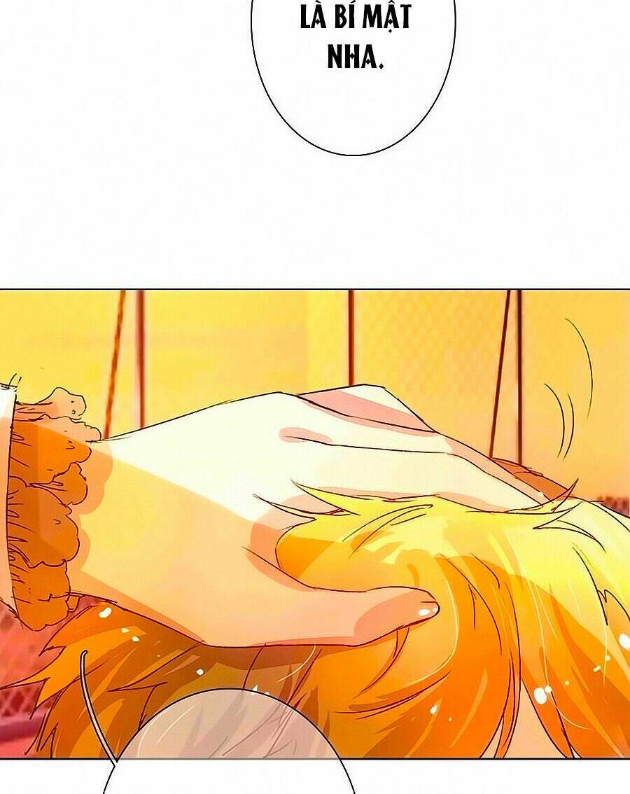 Hào Môn Tiểu Lãn Thê: Chapter 34