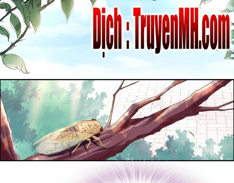 Nhất Sinh Nhất Thế Tiếu Thương Khung: Chapter 6