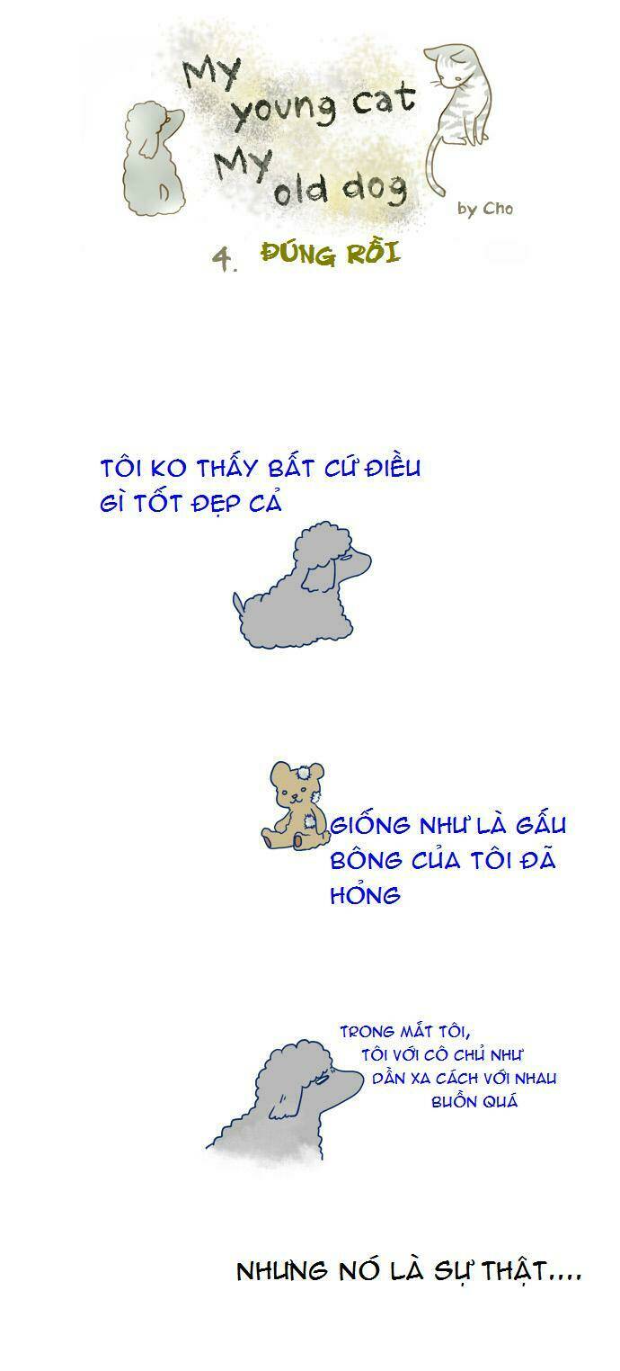 My Young Cat And My Old Dog: Chapter 3