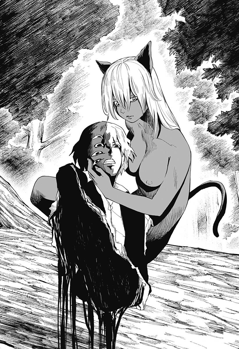 Stage S: Chapter 8