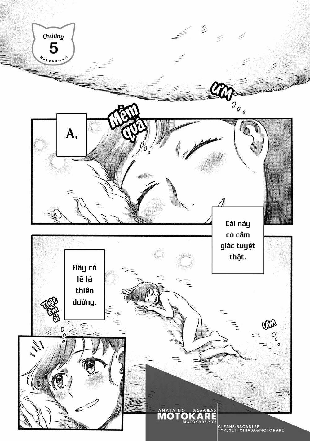 Nekodamari: Chapter 5