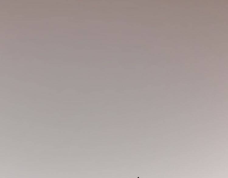 Lượm Được Một Tiểu Hồ Ly 2: Chapter 35