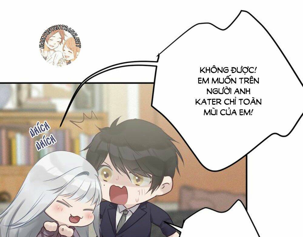 Viện Bảo Tàng Tâm Nguyện: Chapter 29.4