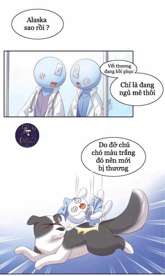 Dưới Móng Vuốt Mèo: Chapter 15