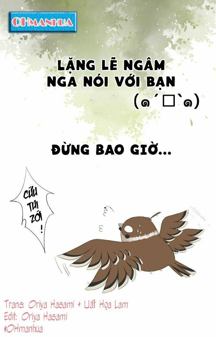 Tước Kiều Tiên: Chapter 0