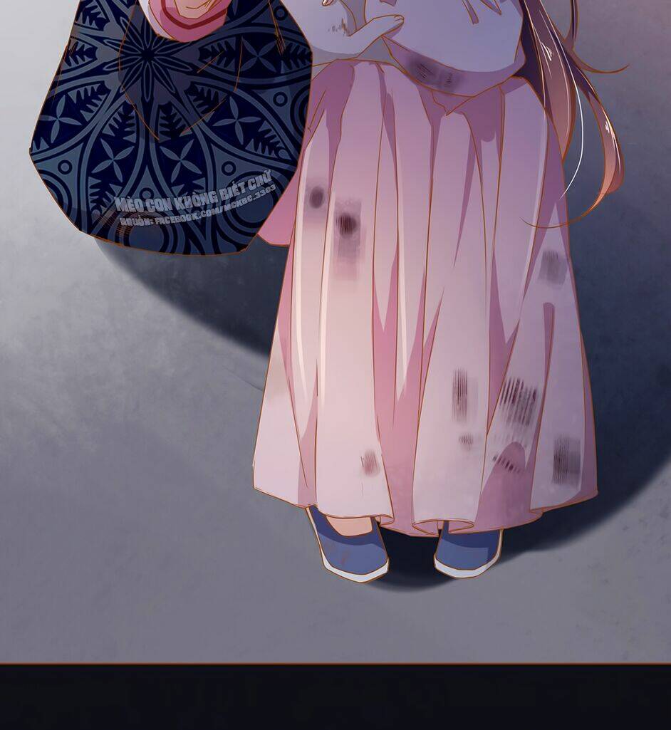 Boss Khủng Bố Chiếm Đoạt Ta: Chapter 5