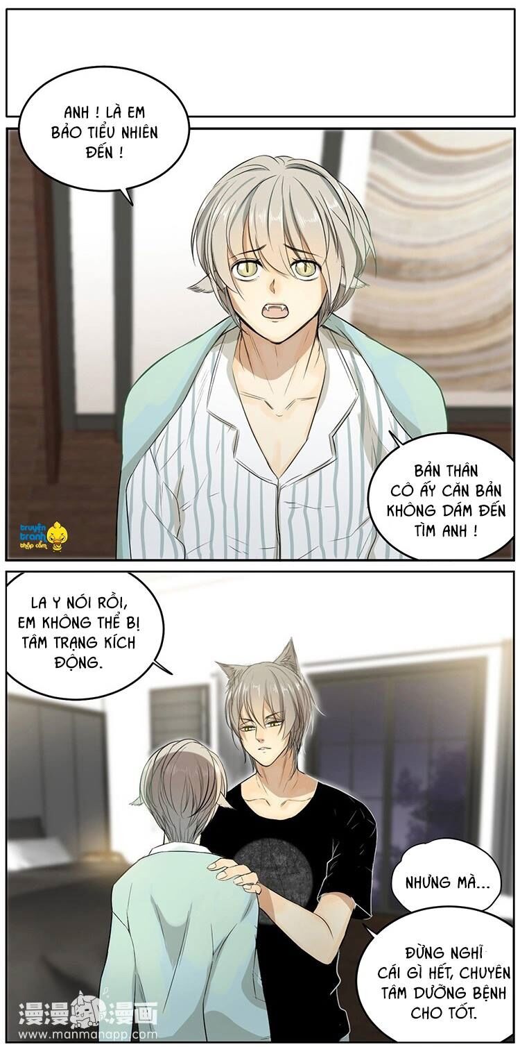 Cứu mạng ! Loài mèo thống trị thế giới rồi !: Chapter 10