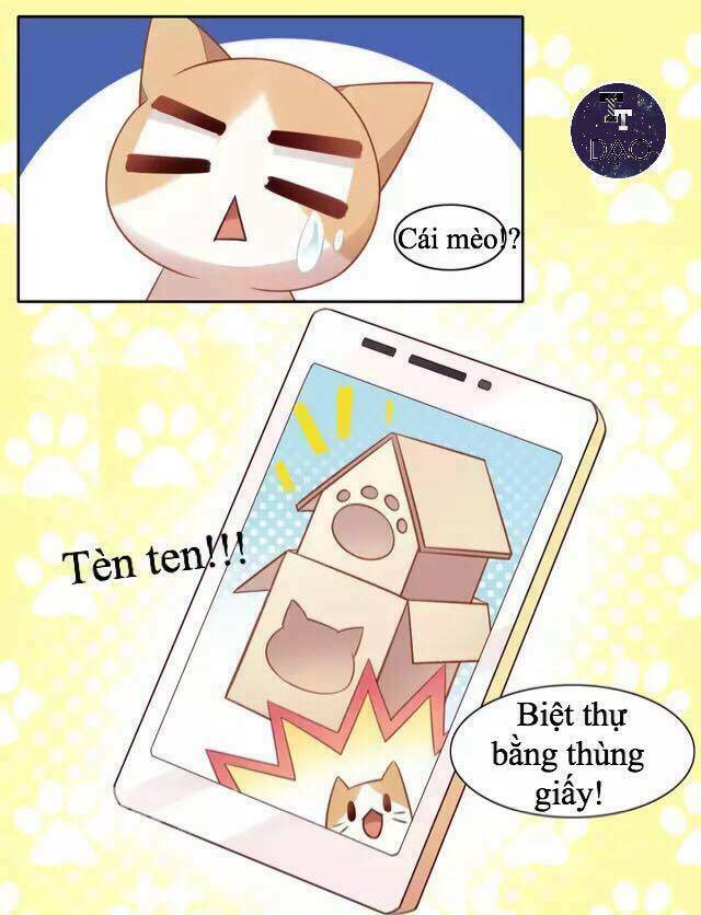 Dưới Móng Vuốt Mèo: Chapter 13