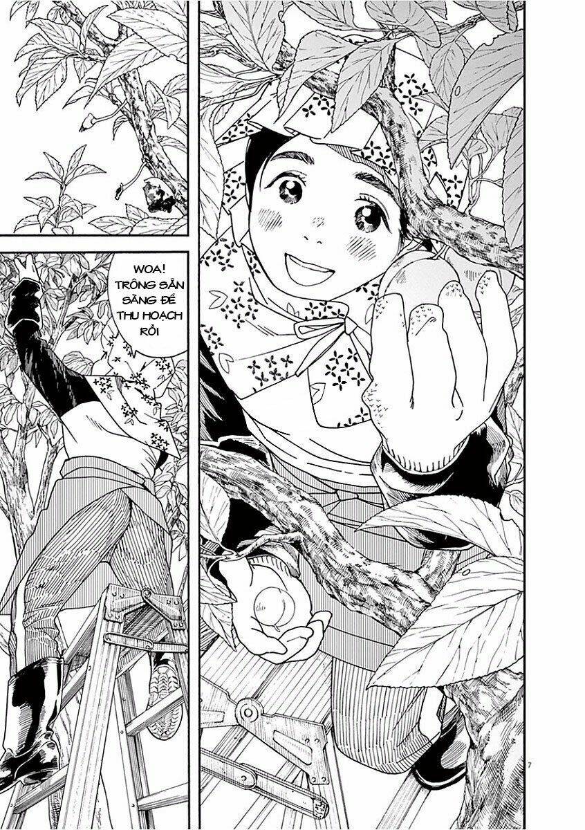 Neko No Otera No Chion-San: Chapter 37