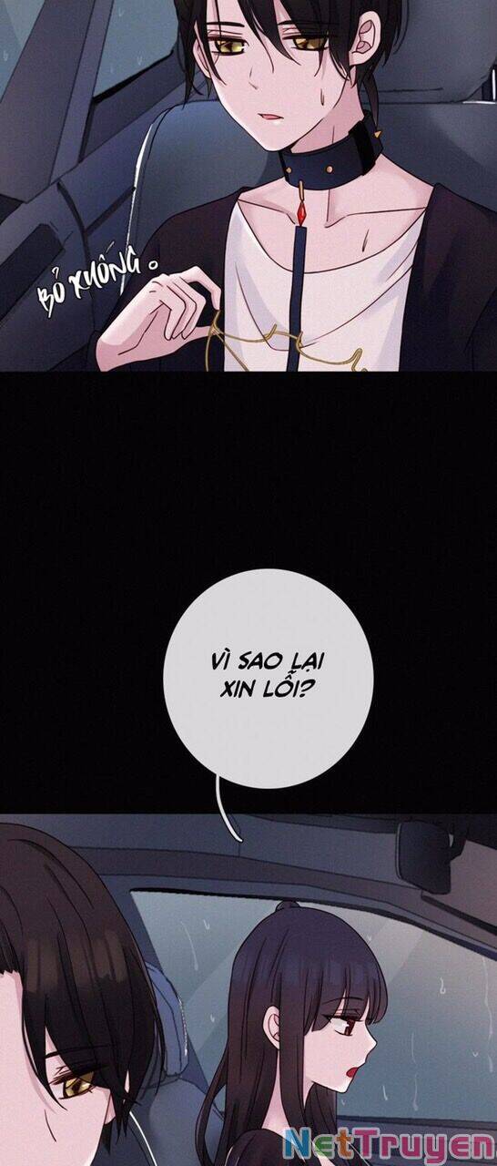 Hắc Dạ Hữu Sở Tư: Chapter 50.1