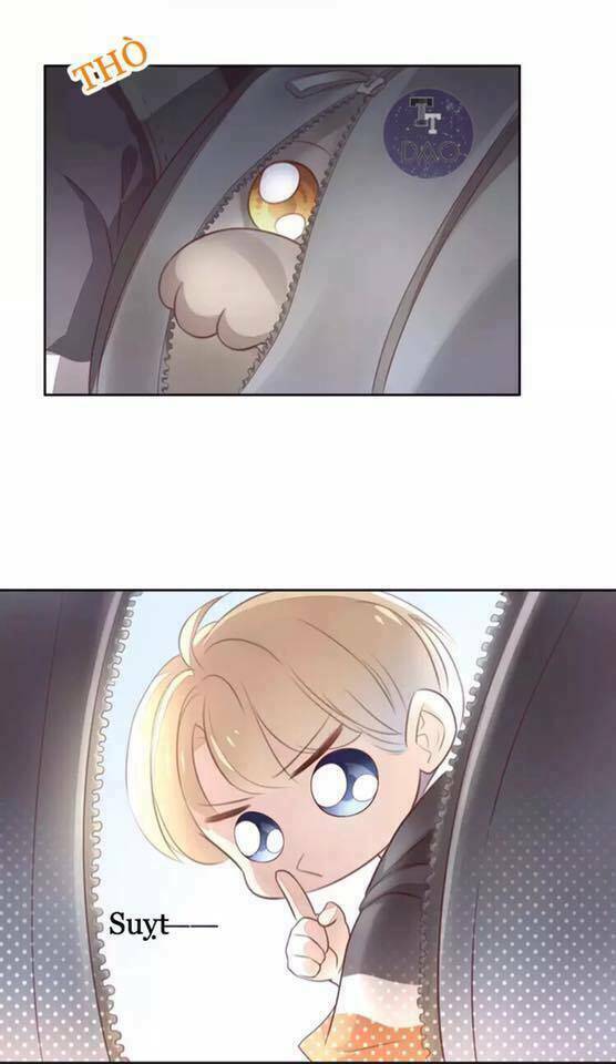 Dưới Móng Vuốt Mèo: Chapter 21