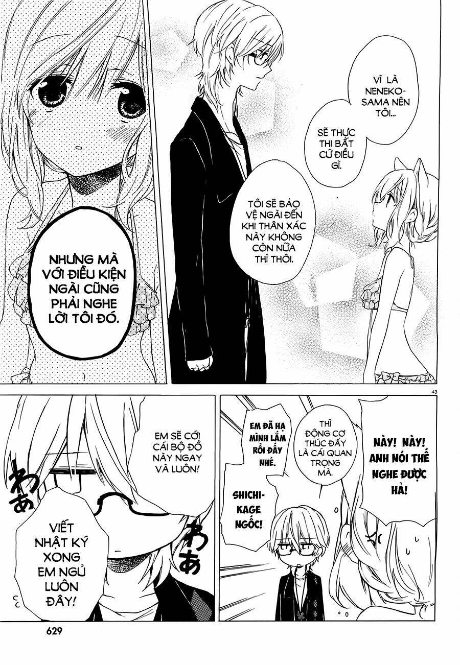 Kudamimi No Neko: Chapter 4