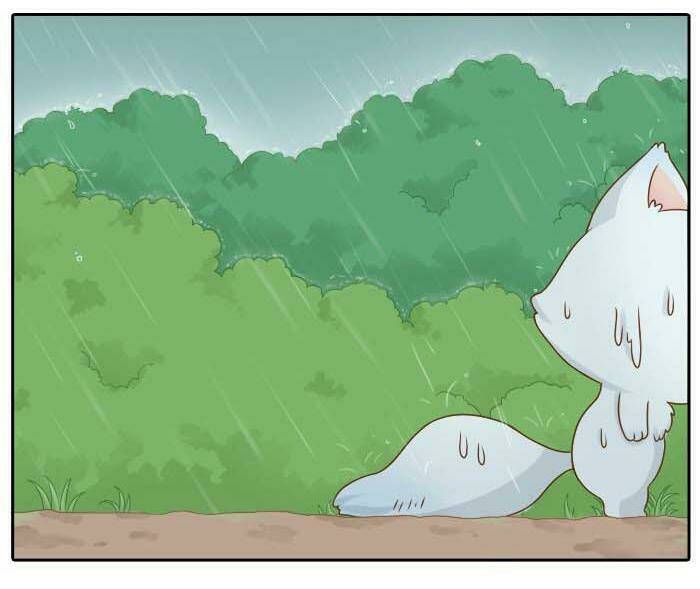 Tiểu Hồ Ly vs Tiểu Hóa Thượng: Chapter 10