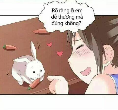 1 Nửa Hoàn Hảo Của Ceo: Chapter 21