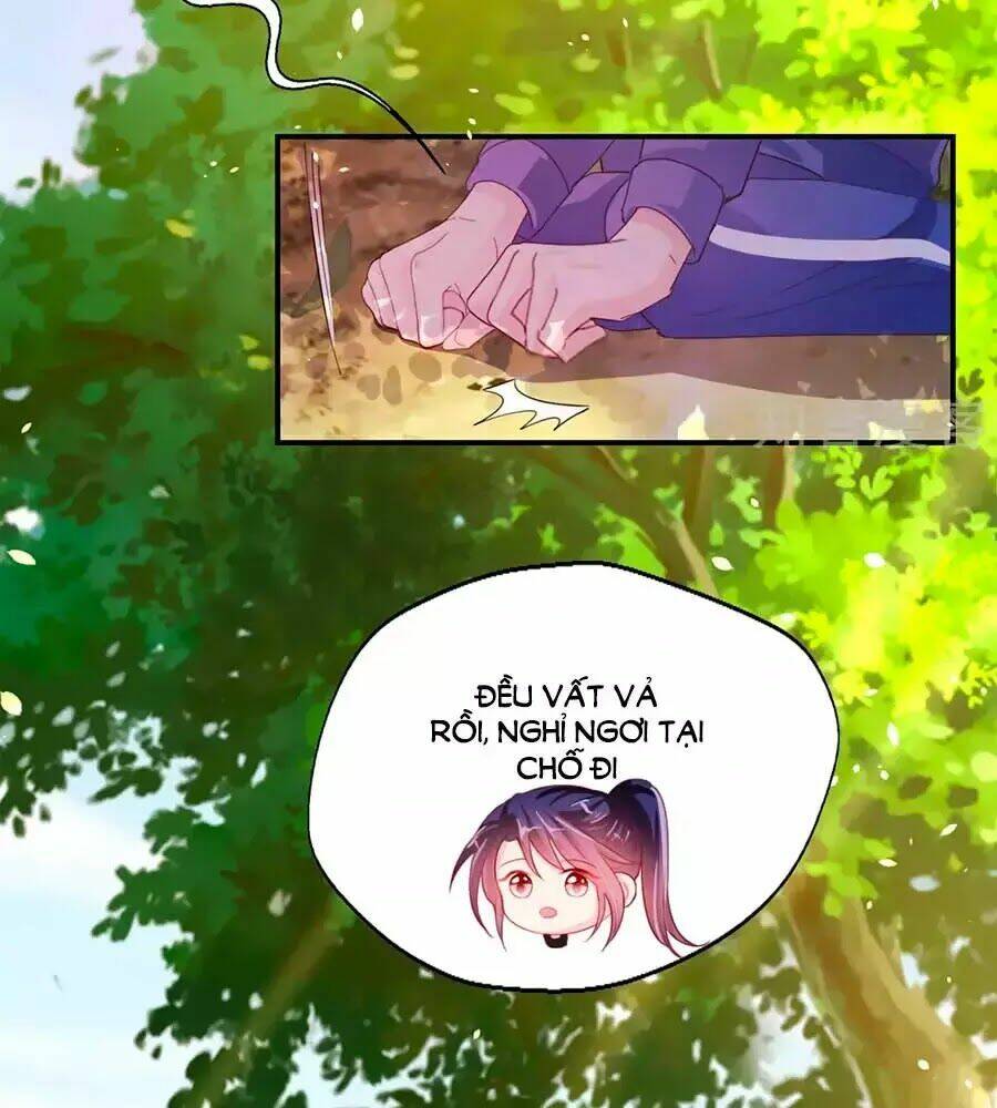 Sau Này Vẫn Cứ Thích Anh: Chapter 61