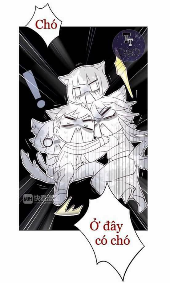 Dưới Móng Vuốt Mèo: Chapter 5