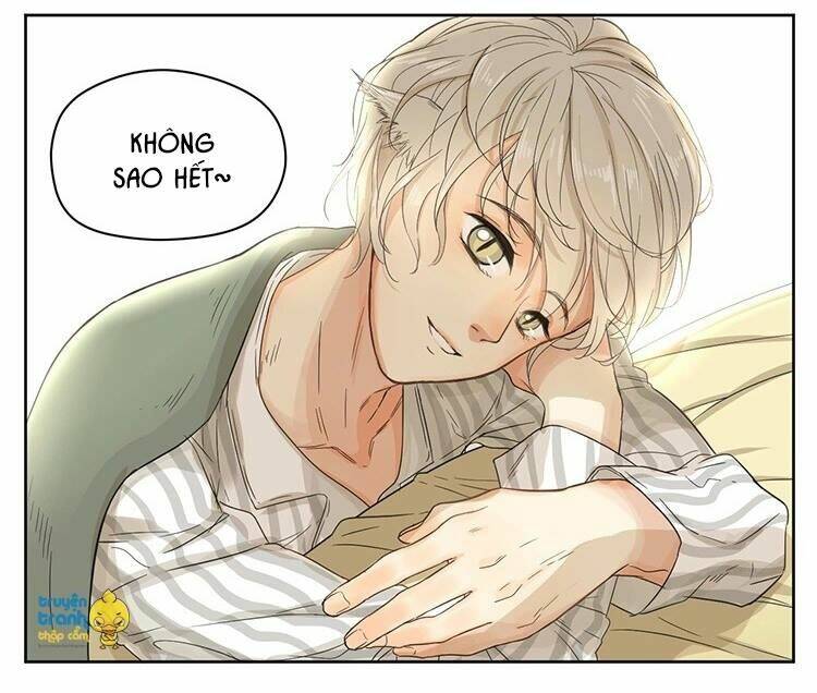 Cứu Mạng! Loài Mèo Thống Trị Thế Giới Rồi!: Chapter 14
