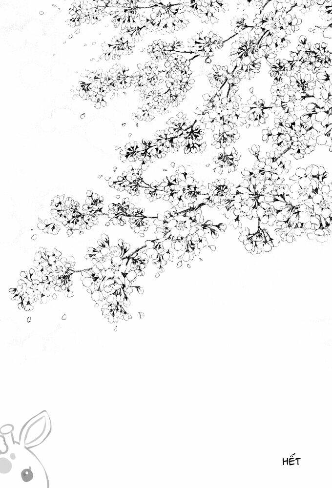 Hạnh Phúc Và Ước Muốn Của Cậu Là…?: Chapter 2