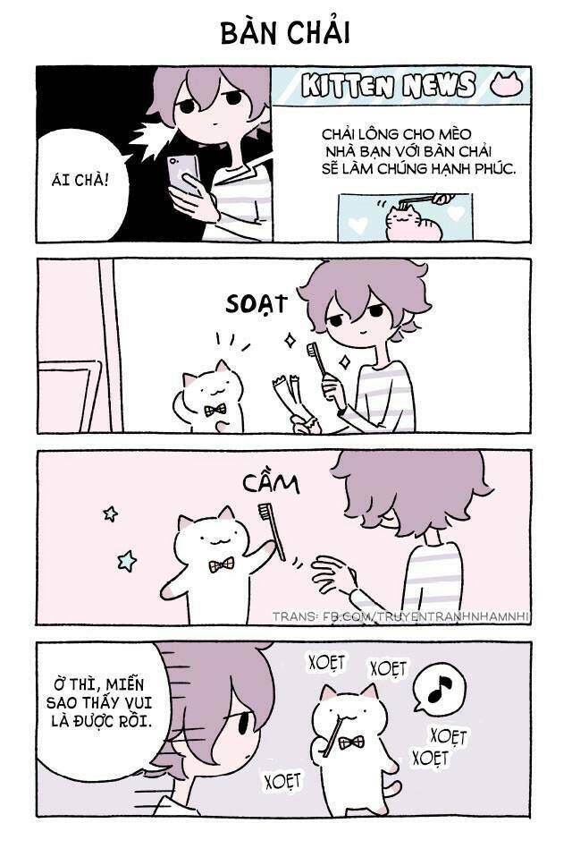 Chú Mèo Kỳ Diệu Kyuu-Chan: Chapter 184