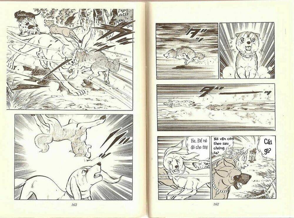 Chú Chó Có Nghĩa - Ginga Nagareboshi Gin: Chapter 10