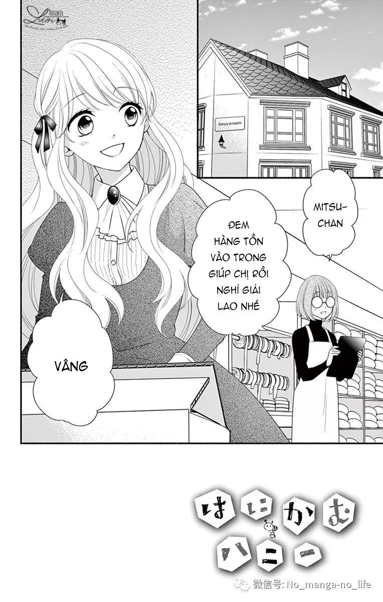 Hanikamu Honey: Chapter 33